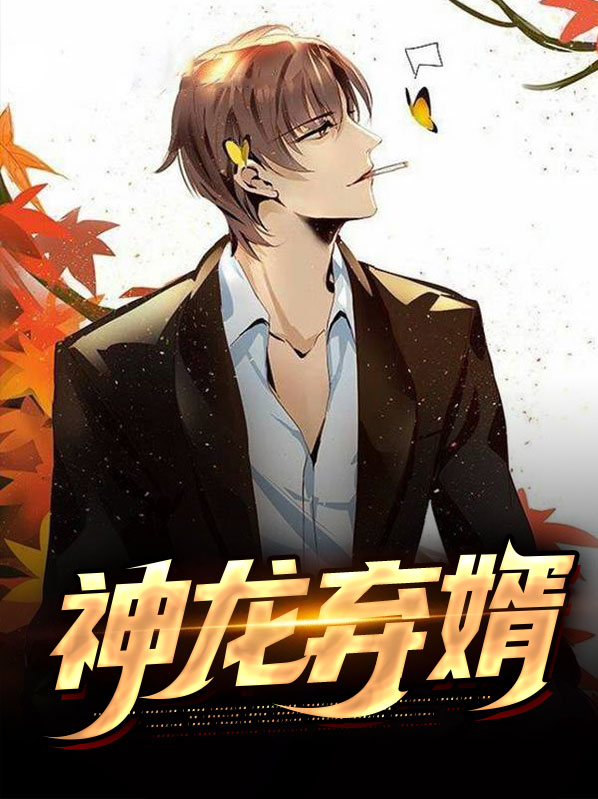 神龙快婿短剧