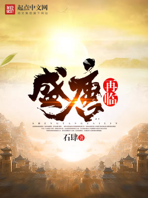 盛唐再临 小说