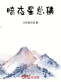 暗夜无星小说