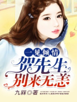 一见倾情，贺先生别来无恙
