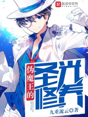 伪魔王的圣光修养TXT下载
