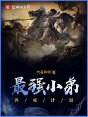 最强小弟系统