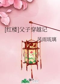 一对夫妻穿越到红楼的小说