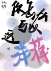 你怎么能这样翻译成英文