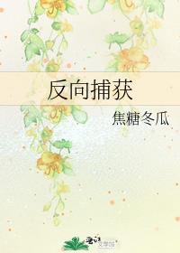 反向捕获txt