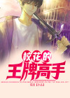 现代王牌高手