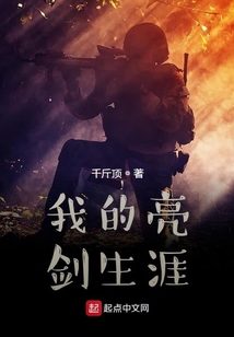 我的亮剑生涯无错版