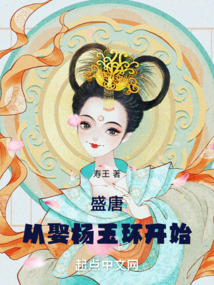 盛唐从娶杨玉环开始TXT