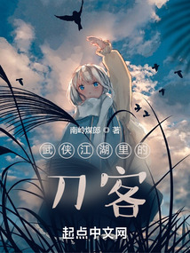 武侠江湖中的刀客小说