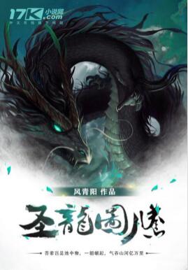 圣龙图腾小说下载