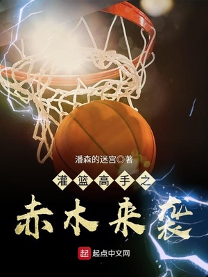 灌篮高手之赤木来袭 小说