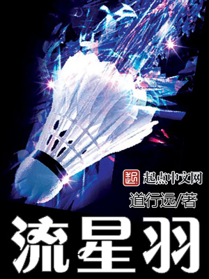 流星羽羽毛球馆