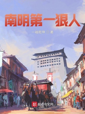 南明第一狠人 小说