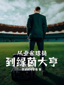 从业余球员到绿茵大亨小说
