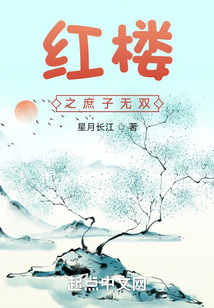 红楼之庶子无双最新章节免费阅读