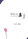 丸子炒饭罪臣之妻