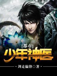 都市少年神医陆风