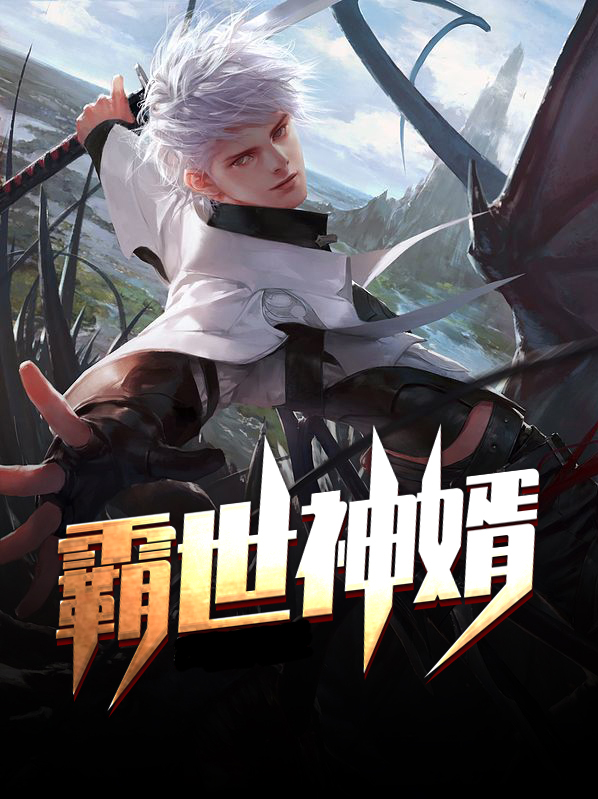 丐世神婿全文免费阅读