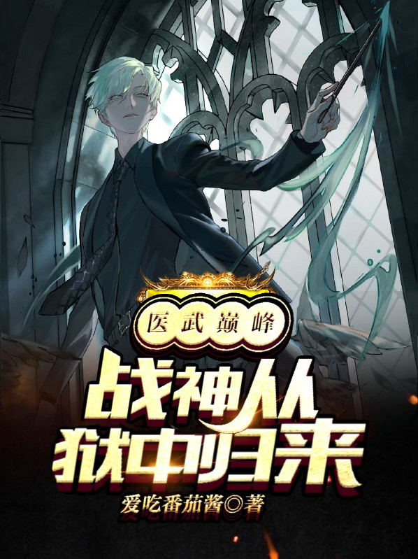 医武战神 小说免费阅读沈七