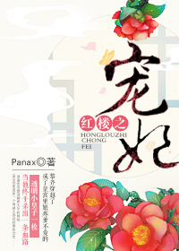 红楼之宠妃by睡醒就饿