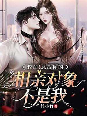总裁相亲是什么电视剧