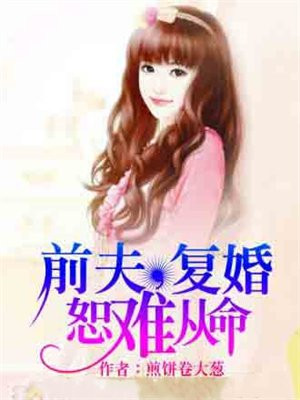 前夫复婚记电视剧