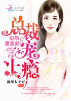 隐婚甜蜜蜜:总裁,宠上瘾 小说