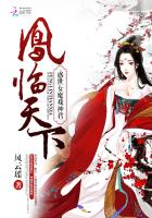 凤临天下之女商的小说