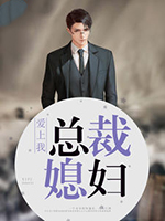 我的总裁女友