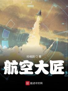 航空大匠小说