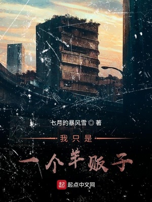 我只是一个羊贩子小说下载