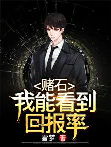 赌石小说我都看到了