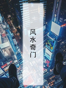 风水奇门遁甲之术小说免费阅读