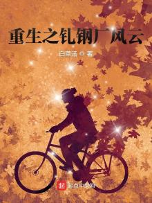 重生之轧钢厂风云百度云