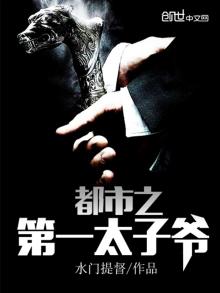都市第一太子爷全本