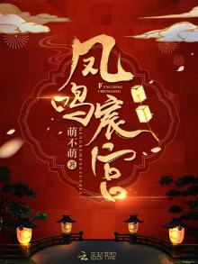 凤鸣宸宫小说txt