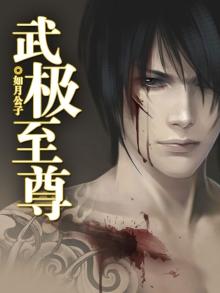 武极至尊全本TXT免费下载