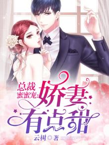 总裁蜜蜜宠老婆有点甜陆景深景宁