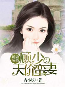 诱妻成瘾顾少的天价蛮妻百度云