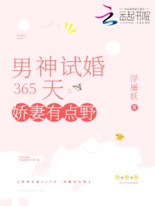 男神试婚365天娇妻有点野下载