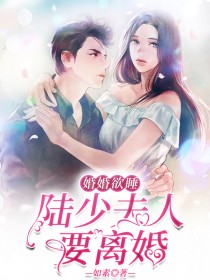 婚情荡漾,陆少追妻请排队免费
