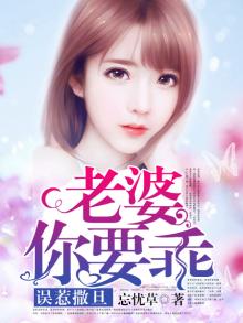 老婆,我错了,别离婚好吗小说