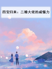 四宝小说