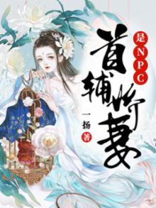 首辅娇妻是个npc
