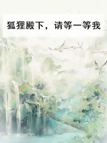 狐狸殿下，请等一等我