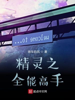 精灵之全能天王