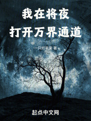 我在将夜小说