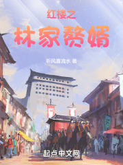 红楼之林家赘婿TXT