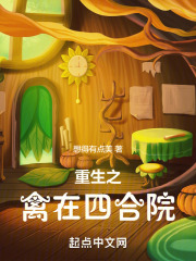重生在四合院小说