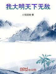 我大明天下无敌免费阅读